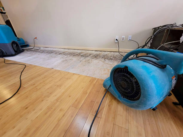 Professional Water Damage Repair technician working in Ramona, CA